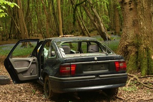 malicious vehicle mischief