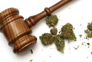 Marijuana and a gavel together for many legal concepts on the drug