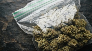 Medical marijuana | Dried cannabis buds inside a clear plastic ziplock bag on a dark surface
