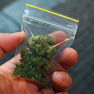 marijuana crime in Pasadena